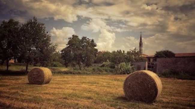 una foto vincitrice unpli