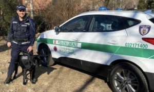 unita cinofila trecate