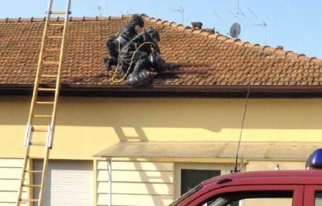 vigili calabroni