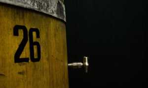 visionary mostra jill mathis