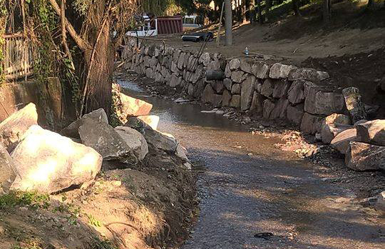 vevera torrente