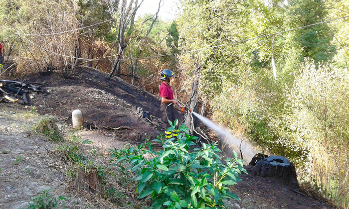  Incendio di sterpaglie a Galliate e Cameri, intervengono i vigili del fuoco