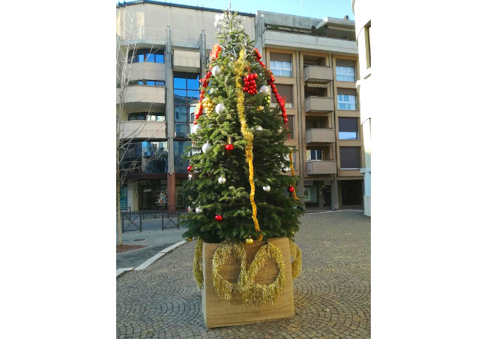 Un nuovo albero di Natale con decorazioni ecologiche in città