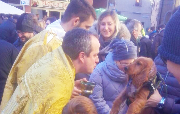 Animali in piazza per la benedizione di sant'Antonio. Fotogallery