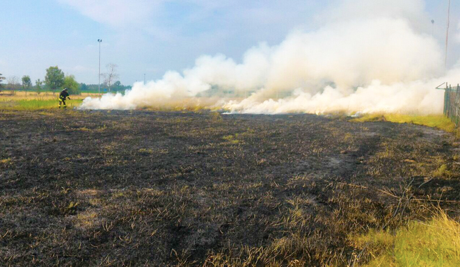 Incendio sterpaglie, bruciano 250 metri quadri. Intervento dei Vigili del fuoco