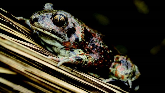 Mostra fotografica per sensibilizzare alla tutela di natura, storia e paesaggio