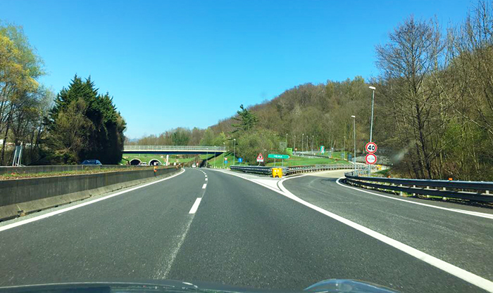Incidente in autostrada: esce di strada, fa tutto da solo. Illesi