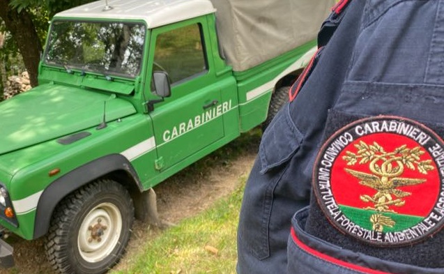 caabinieri forestali