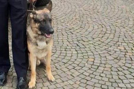 baldo unita cinofila