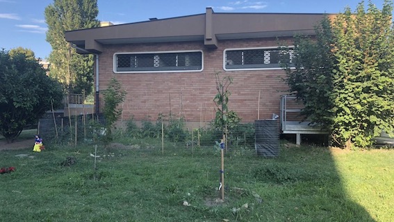 gad donatello ortojpeg