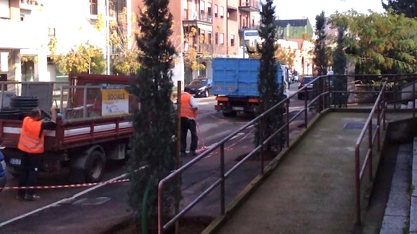 trecate piantumazione