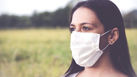 coccato e mezzetti promovita