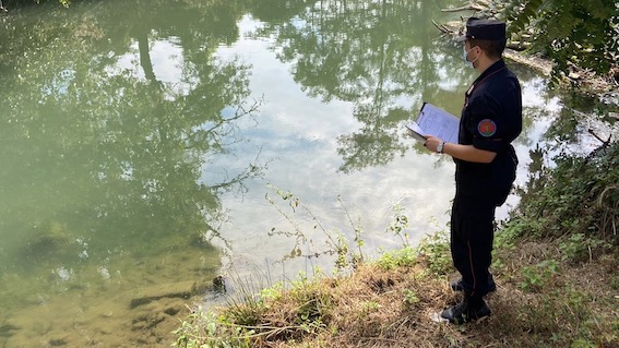 forestale terdoppio 1