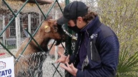 parco gattile novara