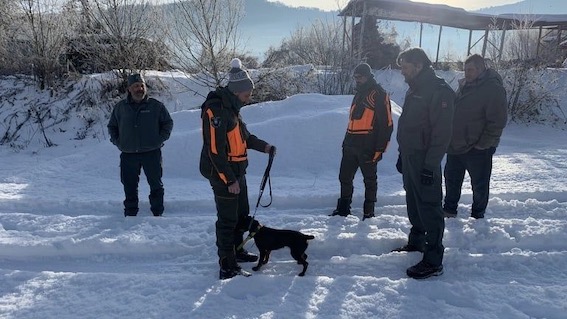 unita cinofila belluno