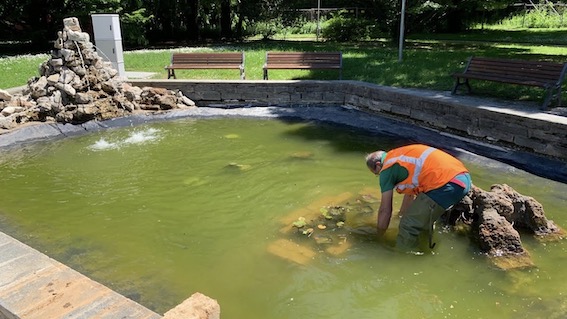 laghetto parco bambini