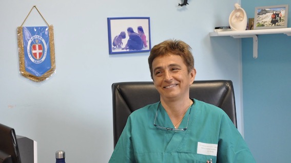 dir terapia intens neonatale