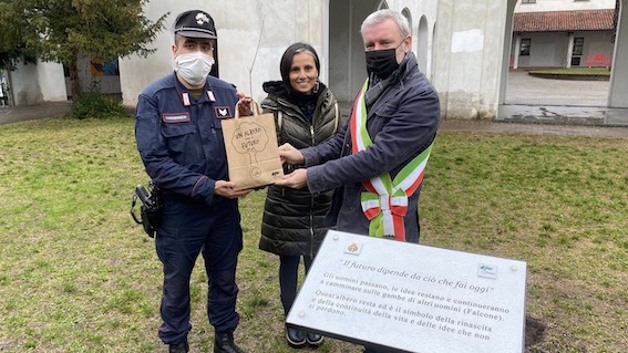 oleggio albero falcone