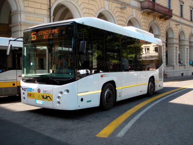 bus sun novara