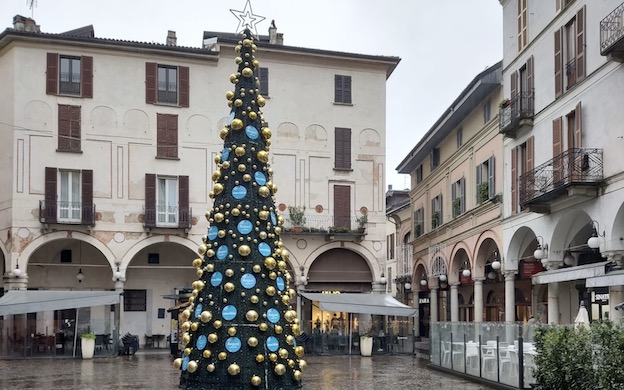novara albero 2022