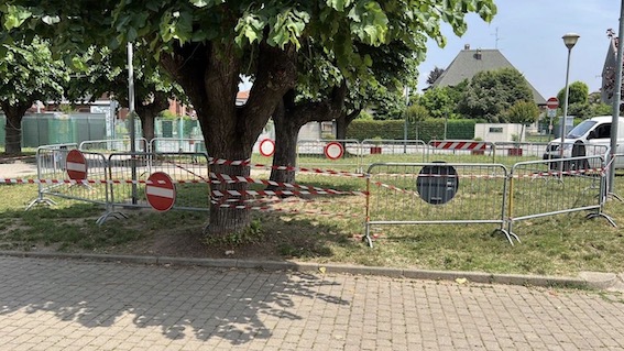 cerano parco albero recinto