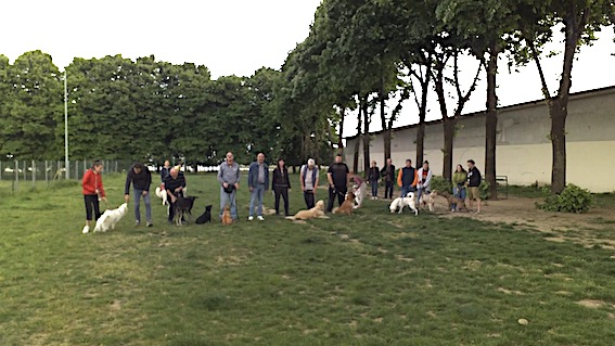 evento dog friendly trecate