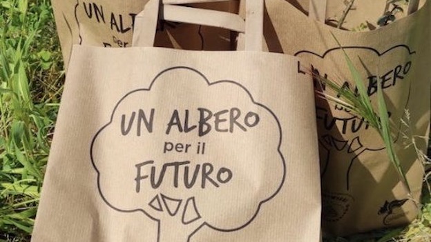 Un albero per il futuro buste