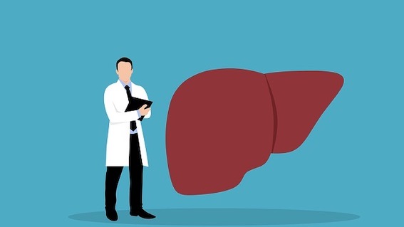 medico fegato