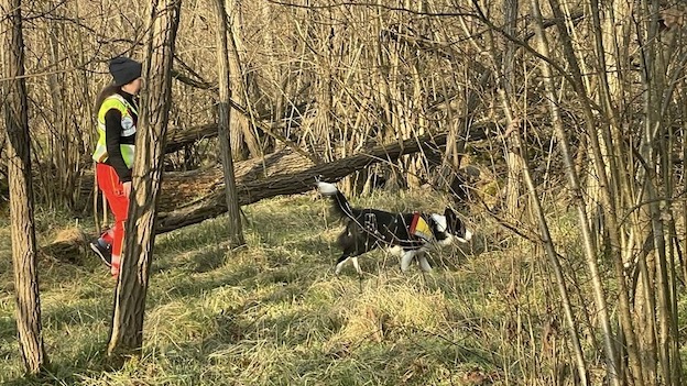 novara soccorso unita cinofila