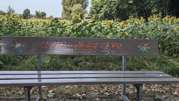 cameri nuova panchina luglio 2023