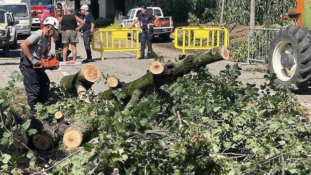 provincia ringraziamenti