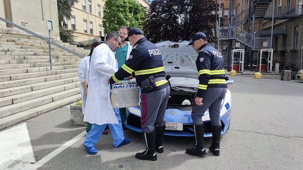 polizia ospedale novara