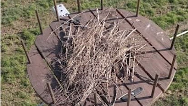 oleggio progetto cicogna