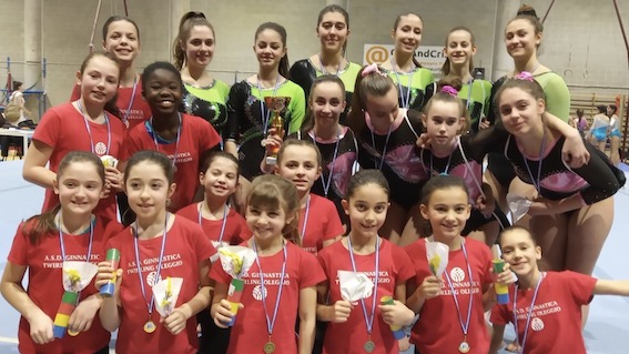 oleggio artistica torino