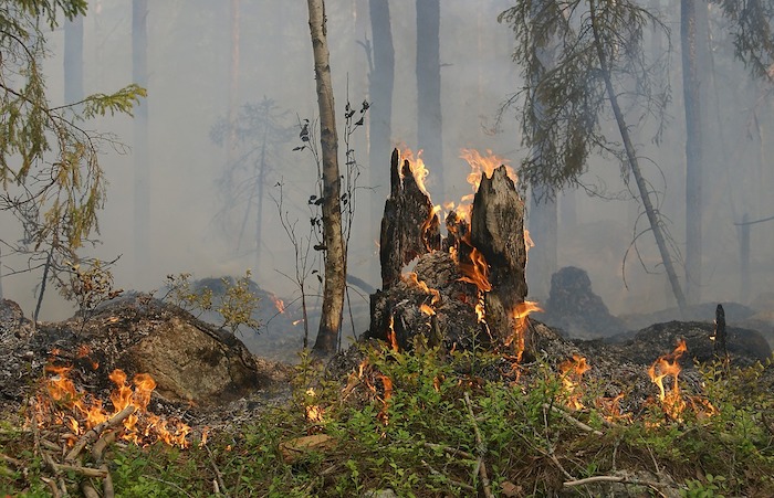 Regione Piemonte: revocato da domani lo stato di massima pericolosità per gli incendi boschivi