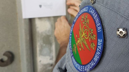 carabinieri forestale 2