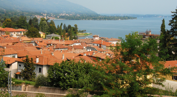 meina vista