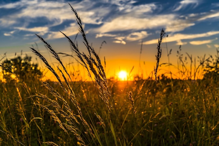 Novara: l'anticiclone delle Azzorre riporta il sole